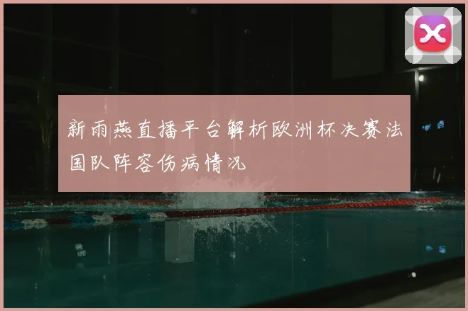 新雨燕直播平台解析欧洲杯决赛法国队阵容伤病情况