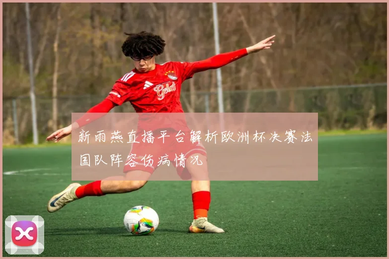 新雨燕直播平台解析欧洲杯决赛法国队阵容伤病情况