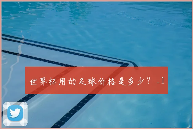 世界杯用的足球价格是多少?_1