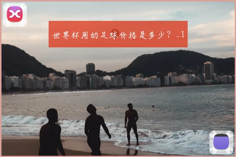 世界杯用的足球价格是多少?_1